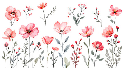 pink flowers on a white background