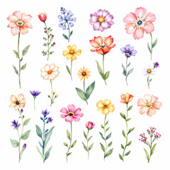 Set of watercolor flowers