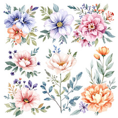 Set of watercolor flowers