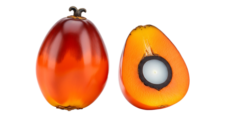 Vibrant Red Palm Fruit and Cross Section Detail.