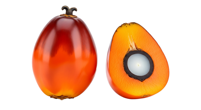 Vibrant Red Palm Fruit and Cross Section Detail.