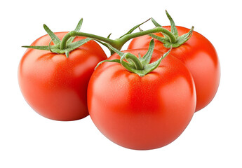Fresh ripe tomatoes on the vine, perfect for culinary creations, healthy eating