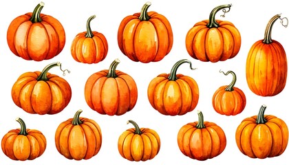 Hand-drawn watercolor illustration showcasing a variety of ripe, vibrant pumpkins, perfect for Halloween or Thanksgiving themes