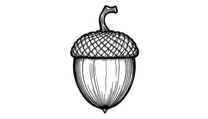 Hand-drawn illustration of an acorn, symbolizing nature, growth, and potential, ideal for projects related to the environment, forests, and autumn