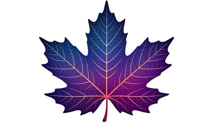 Vibrant and detailed illustration of a maple leaf with visible veins, showcasing a gradient of colors from deep purple to orange