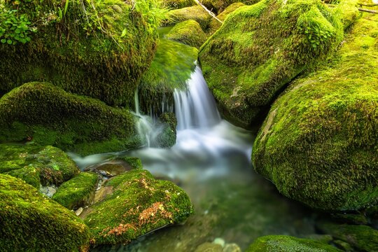 Petite  cascade entour&eacute;e de rochers recouverts demousse verte, pose longue 