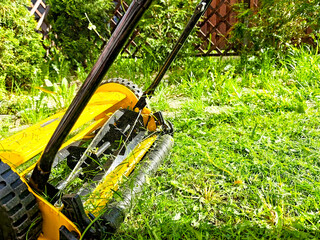 Bright green lawn under maintenance with a manual lawn mower in a residential garden