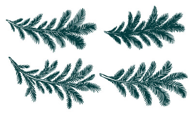 Christmas green tree branch set, hand drawn	
