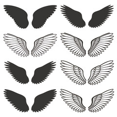 Collection of Angel Wings and Feathered Wings Illustrations Graphic Design Elements for Fantasy and Spiritual Concepts Art Set