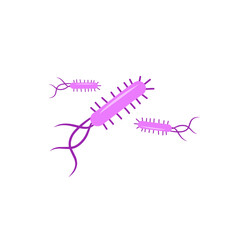 Escherichia coli bacterial vector
