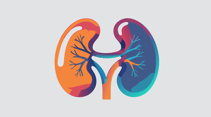 Colorful anatomical illustration of the human renal system. Abstract kidney organ for medical and health awareness concepts.