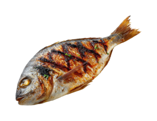 Grilled fish delight coastal restaurant food culinary scene view isolated on transparent background, png