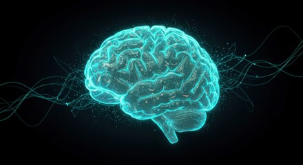 Human brain illustration