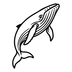 Whale bold line art view