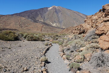 Wanderweg durch Halbwüste Las Cañadas auf Teneriffa Kanarische Inseln