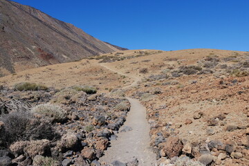 Wanderweg durch Halbwüste Las Cañadas auf Teneriffa Kanarische Inseln