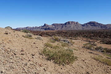 Halbwüste und Berge im Las Cañadas auf Teneriffa Kanarische Inseln