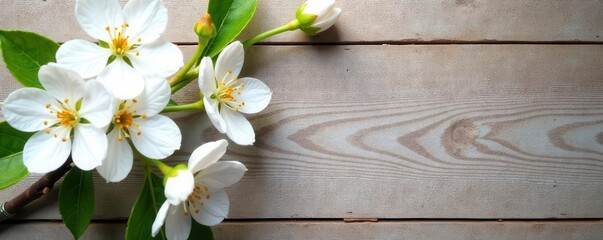 Delicate white blossoms, soft linen backdrop, textured wood , fragile, background, bloom