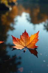 Fototapeta premium Single autumn leaf floats on still, reflective water Tranquil fall scene , macro, peaceful, season
