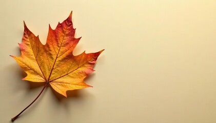 Single dried beige leaf, textured autumn background Minimalist design , vintage, beige, minimalist