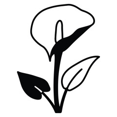 Elegant Calla Lily Illustration in Black and White for Designs and Creative Projects and Minimalist Art