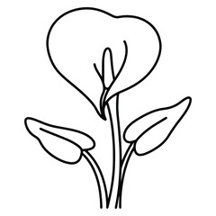 Elegant Calla Lily Line Art Illustration with Lush Green Leaves Detailed Botanical Drawing for Creative Projects and Design Assets
