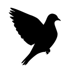 Vector Silhouette Of A Dove.