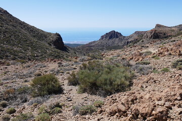 Halbwüste Las Cañadas auf Teneriffa Kanarische Inseln
