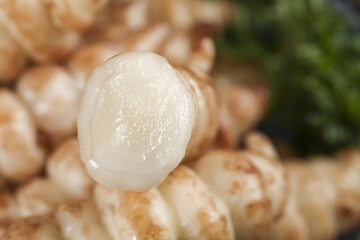 Freshly harvested ground silkworms and loop pagoda vegetables ready for preparation in a culinary setting