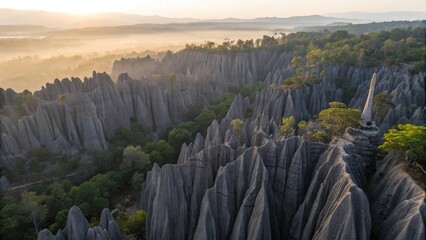 Tsingy de Bemaraha Aerial Limestone Pinnacles