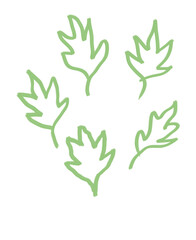 hand drawn Leaves green sketch 
