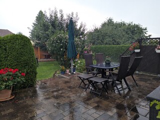 garden, it's raining