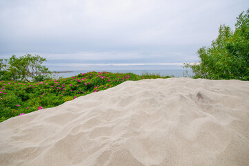 Sand dunes landscape at the sea coastline in cloudy day