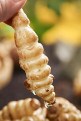 Ground bullocks and grass stoneworms are freshly harvested in a garden setting