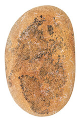 Top view of single yellow pebble isolated on white background.