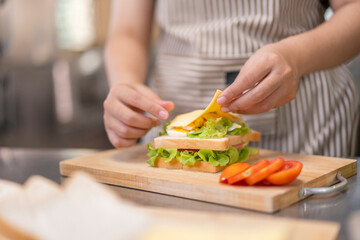 Hand placing slice of cheese on homemade sandwich.