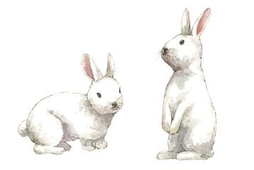 うさぎの水彩画