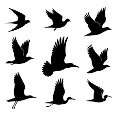 Obraz premium Collection of nine black silhouette illustrations of various birds in flight against a white background showcasing different wing positions and flight styles