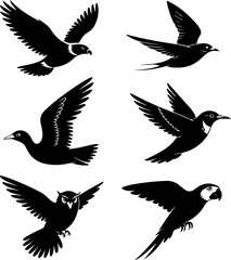 Obraz premium 6 unique black silhouette vector illustrations of birds in flight 