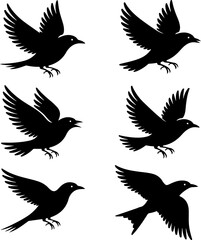 Obraz premium 6 unique black silhouette vector illustrations of birds in flight 