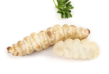 Fresh ground gourami groundworms prepared as nutritious meals for vegetable-loving fish enthusiasts...