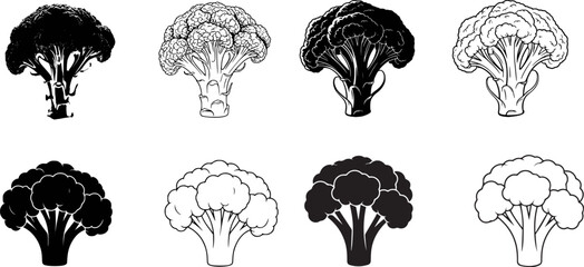 Broccoli florets and stalks in black and white illustrations cauliflower vegetable