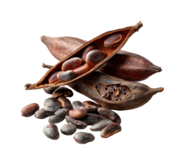 Harvesting cacao pods tropical region food natural environment isolated on transparent background, png