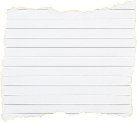 Torn lined notebook paper sheet with empty space for writing notes or reminders isolated on white transparent background