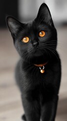 Black Cat Appreciation Day A close-up of a curious black cat with striking orange eyes, showcasing its playful and attentive nature.