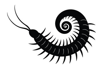 Stylized Black Silhouette of Centipede with Curled Body on White Background