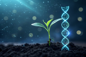 A young plant growing from soil with a dna helix representing genetic research