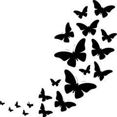 black silhouette of multiple butterflies in various flight poses