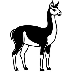 Vicuna vector silhouette black design white background