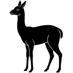 Vicuna vector silhouette black design white background